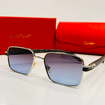 Sunglasses - Cartier 8144