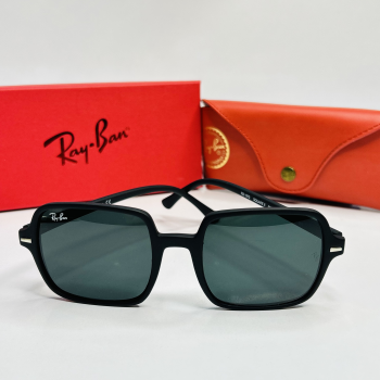 Sunglasses - Ray-Ban 8902
