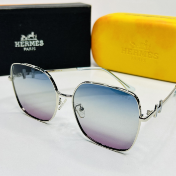 Sunglasses - Hermes 8851